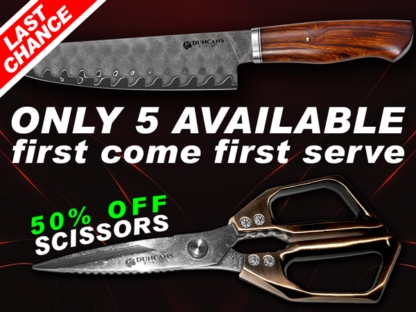 [Duncans] Hitachi SKD-11 Japan, Gyuto + 50% OFF Erītoshizāzu