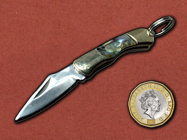 [Duncans CoreForge] Miniature Abalone Seashell Folder