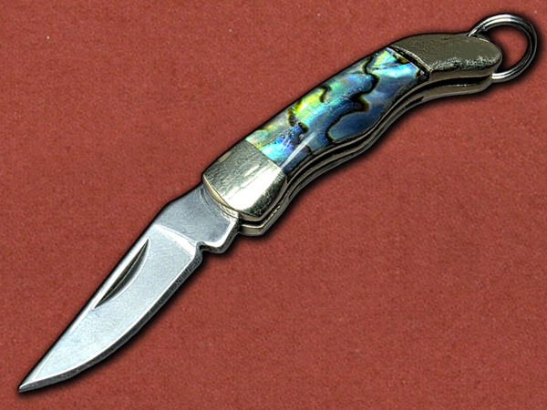 [Duncans CoreForge] Seafarer Keychain Abalone Seashell Folder