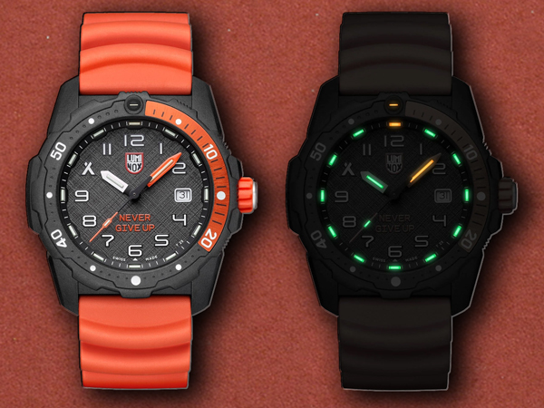 [Luminox] Bear Grylls Survival | IN: XB.3729.NGU