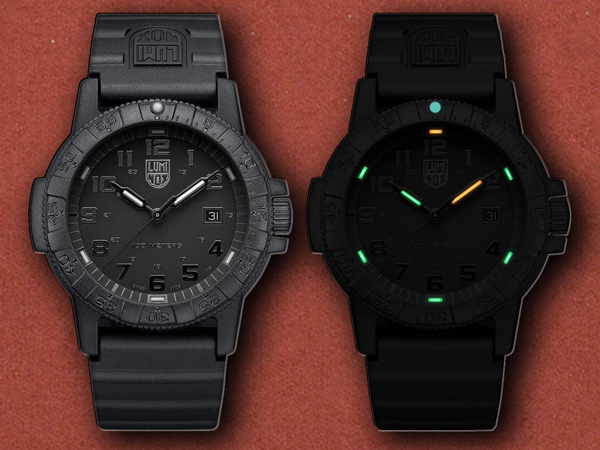 [Luminox] Leatherback Sea Turtle Giant 0321.BO.L