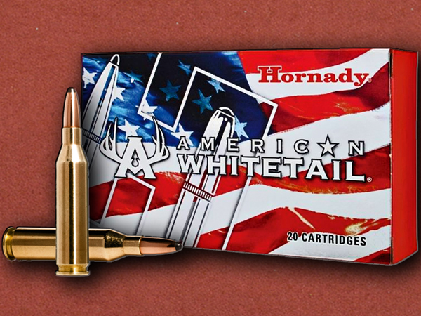 .243 [Hornady] Whitetail 100g