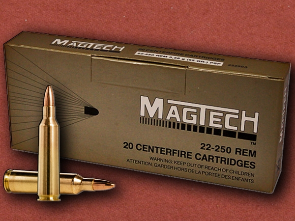 .22-250 [MagTech] PSP 55gr