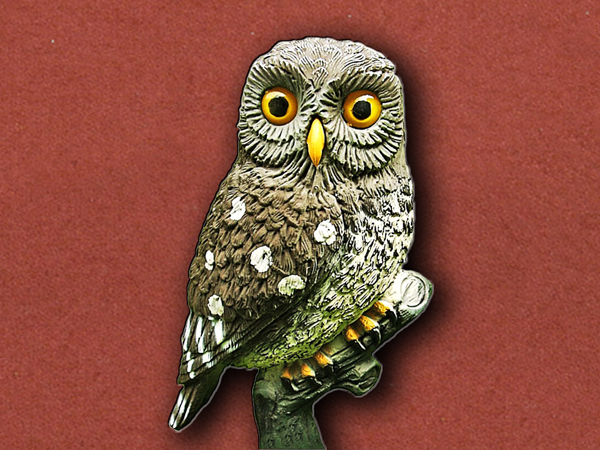 Little Owl