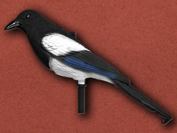 Magpie