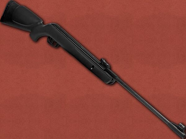 [Gamo] Hornet, Spring Air Rifle