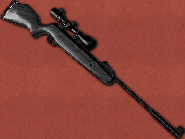 .22 [Norica] Hawk