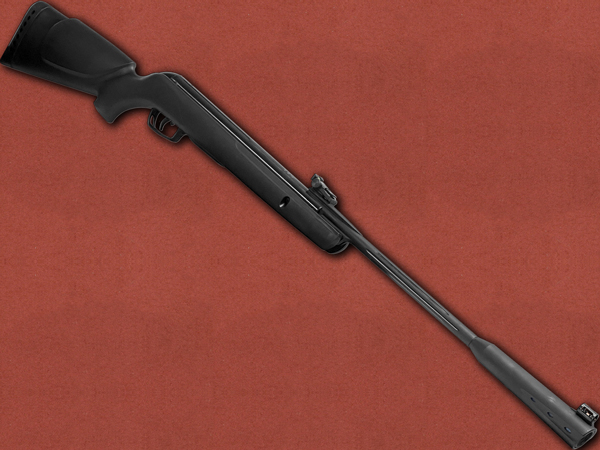 [Gamo] Whisper Sting, Silenced Spring Air Rifle