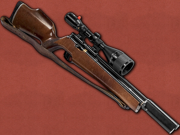 .22 [Falcon] FN-19 Beech, Second Hand, Japanese Scope