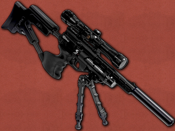 .177 [Weihrauch] HW44 Carbine Kit, Custom Carbon Fibre Stock