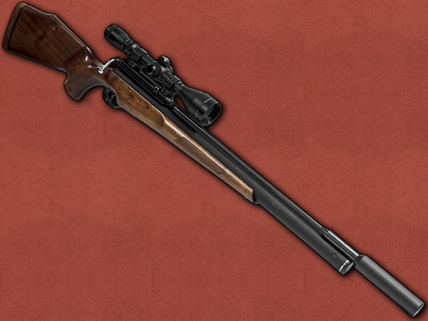 .22 [Logun] Axsor, Silenced, 3-9x50 Boresighter Scope
