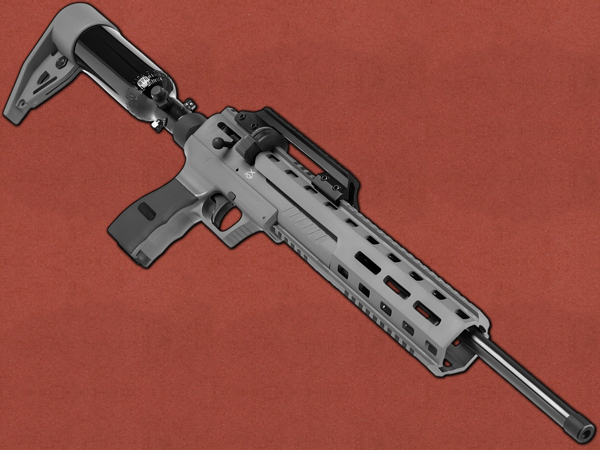 [Webley] Nemesis X PCP Bottled - Best Budget Air Rifle