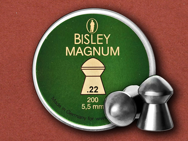 .22 [Bisley] Magnum