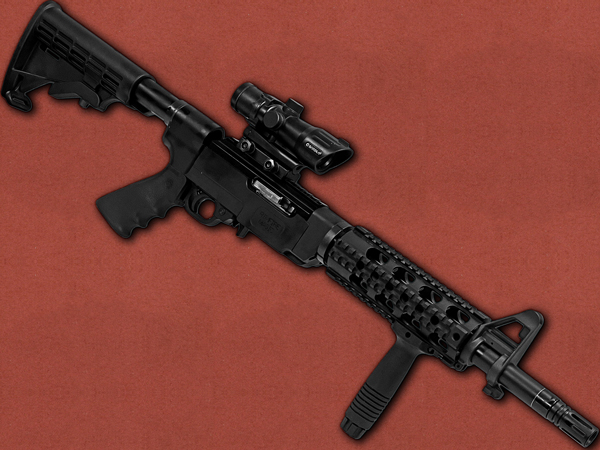 [Anchutz] Semi Automatic Rifle