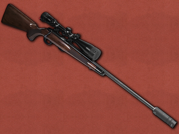 .22 [Remington] 541T, Aim Sport Silencer