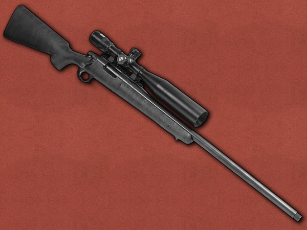 .308 [Remington] 700 Varmint