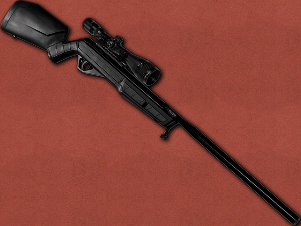 .22 [Crosman] Benjamin Steel Eagle