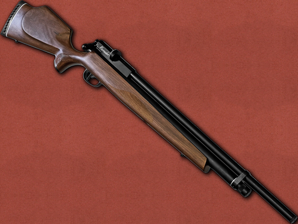 .22 [Benjamin] Marauder Walnut