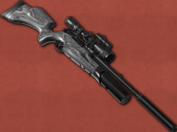 .177 [BSA] R10 SE Laminate