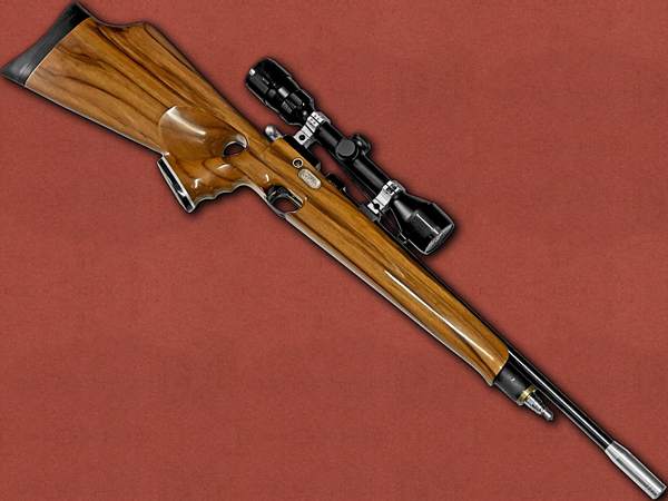 .177 [Air Arms] S200 Custom