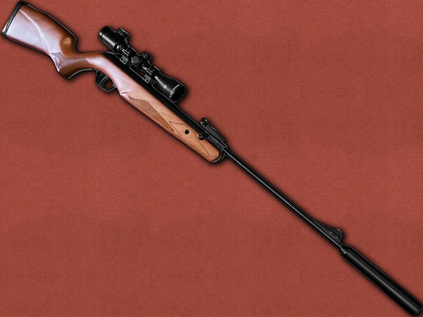 .22 [Walther] Terrus