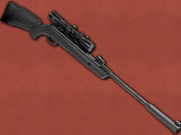 .22 [Gamo] Whisper Sting + Red LaserHawk