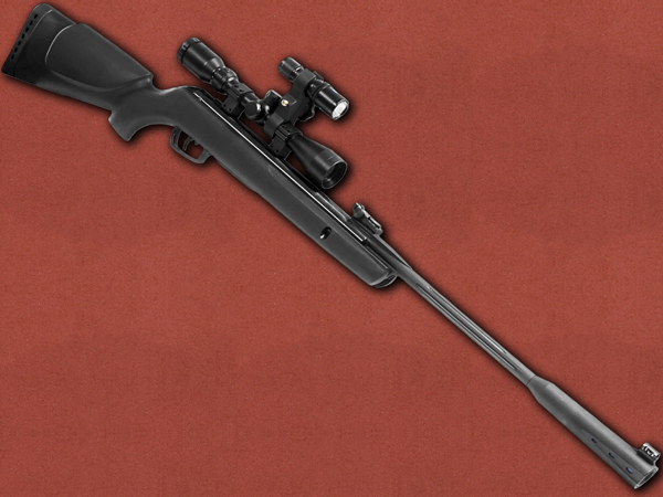.22 [Gamo] Whisper Sting + DM70 Tactical Light Setup