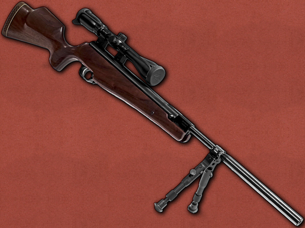 .22 [Weihrauch] HW90 Walnut, Hawke Scope, Bipod